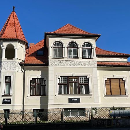 Vila Marioara Sibiu Exterior foto